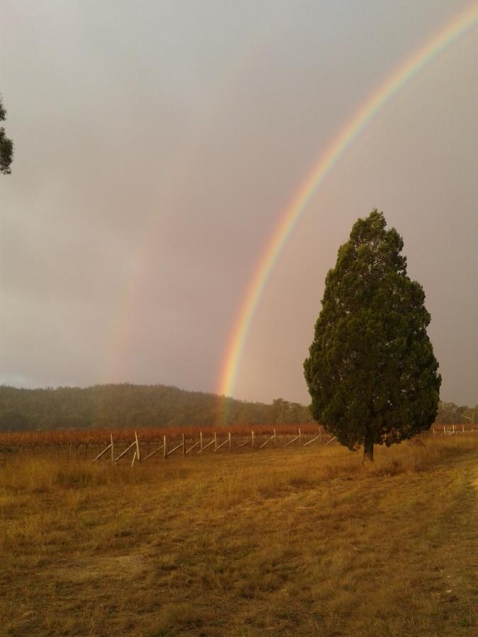 Whiskey Gully Wines Villa Stanthorpe Eksteriør bilde